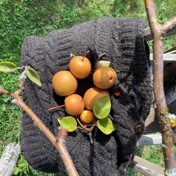 Meet your Posher, Robin - Picture 1 of 1